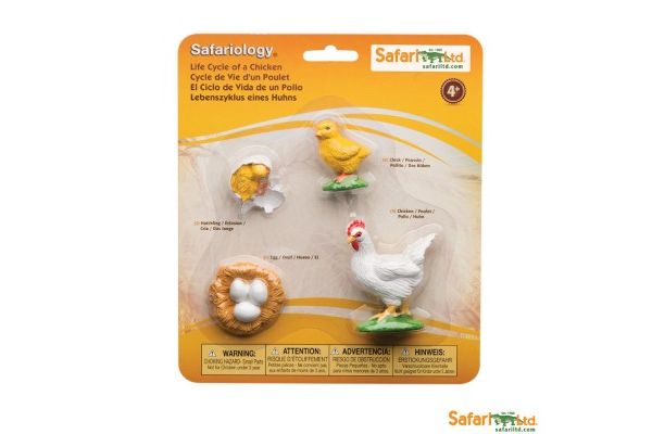 naravoslovje SAFARI LTD Figurice, razvojni krog kokoši, Safari Ltd 662816