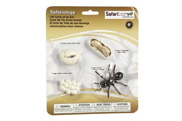 naravoslovje SAFARI LTD Figurice, razvojni krog mravlje, Safari Ltd 663916