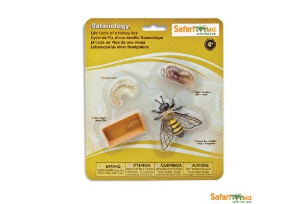 naravoslovje SAFARI LTD Figurice, razvojni krog čebele, Safari Ltd 622716