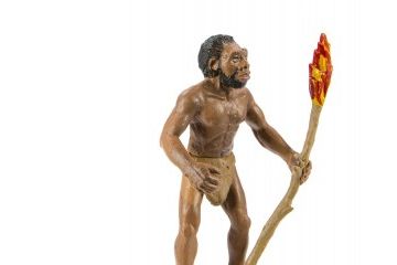 naravoslovje SAFARI LTD Figurice, evolucija človeka, Safari Ltd., 663816