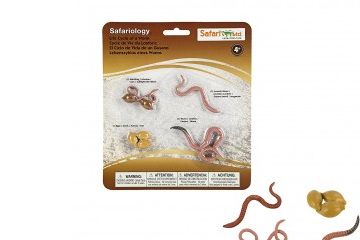 naravoslovje SAFARI LTD Figurice, razvojni krog deževnika, Safari Ltd 664016
