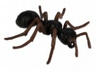 naravoslovje SAFARI LTD Figurice, razvojni krog mravlje, Safari Ltd 663916