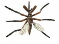 naravoslovje SAFARI LTD Figurice, razvojni krog komarja, Safari Ltd 662616